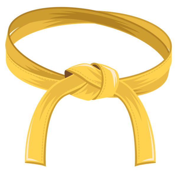 Ceinture jaune, Yellow Belt Leonardo3.4.5